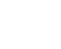 Fast Processing