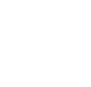 Foot Icon
