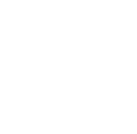 Fraud Protection Icon