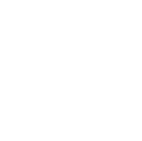 Global Icon Icon