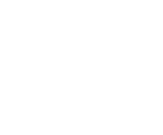 Healthy World Icon