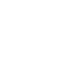 World Icon
